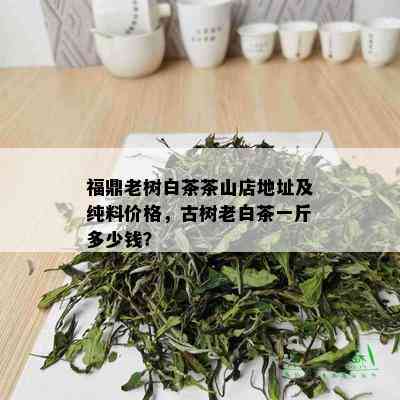 福鼎老树白茶茶山店地址及纯料价格，古树老白茶一斤多少钱？