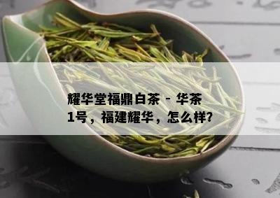 耀华堂福鼎白茶 - 华茶1号，福建耀华，怎么样？