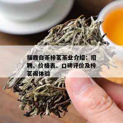 福鼎白茶梓茗茶业介绍：招聘、价格表、口碑评价及梓茗阁体验