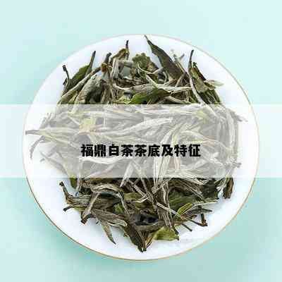 福鼎白茶茶底及特征