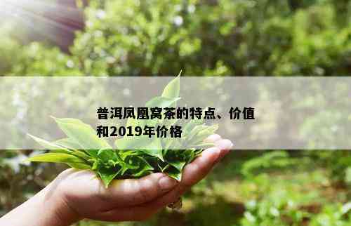 普洱凤凰窝茶的特点、价值和2019年价格