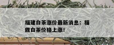 福建白茶涨价最新消息：福鼎白茶价格上涨！