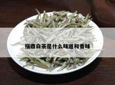 福鼎白茶是什么味道和香味