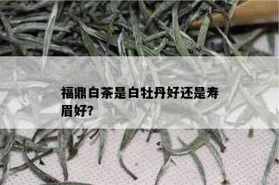 福鼎白茶是白牡丹好还是寿眉好？