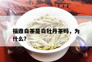 福鼎白茶是白牡丹茶吗，为什么？