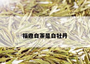 福鼎白茶是白牡丹