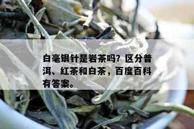 白毫银针是岩茶吗？区分普洱、红茶和白茶，百度百科有答案。