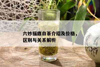 六妙福鼎白茶介绍及价格，区别与关系解析