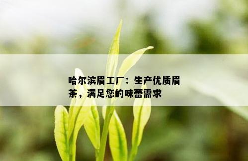 哈尔滨眉工厂：生产优质眉茶，满足您的味蕾需求