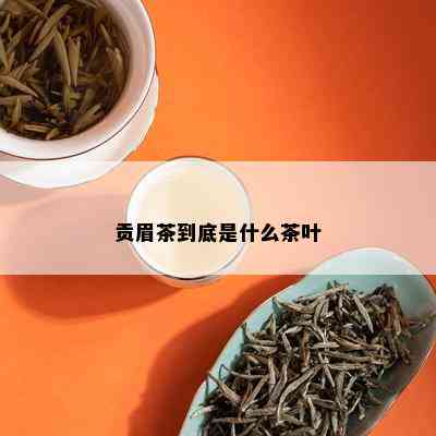 贡眉茶到底是什么茶叶