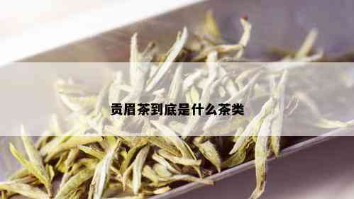 贡眉茶到底是什么茶类