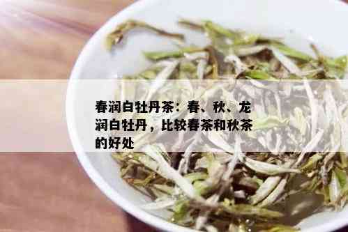 春润白牡丹茶：春、秋、龙润白牡丹，比较春茶和秋茶的好处