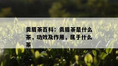 贡眉茶百科：贡眉茶是什么茶，功效及作用，属于什么茶