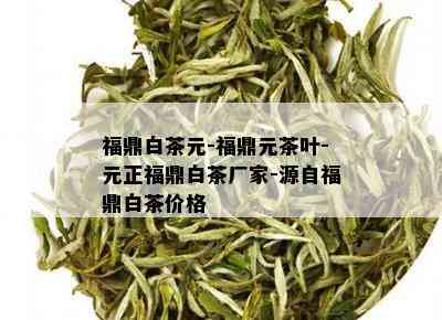 福鼎白茶元-福鼎元茶叶-元正福鼎白茶厂家-源自福鼎白茶价格