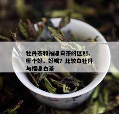 牡丹茶和福鼎白茶的区别、哪个好、好喝？比较白牡丹与福鼎白茶