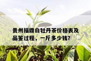 贵州福鼎白牡丹茶价格表及品鉴过程，一斤多少钱？