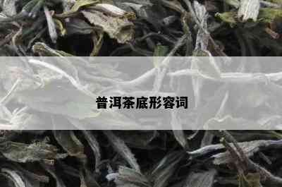 普洱茶底形容词