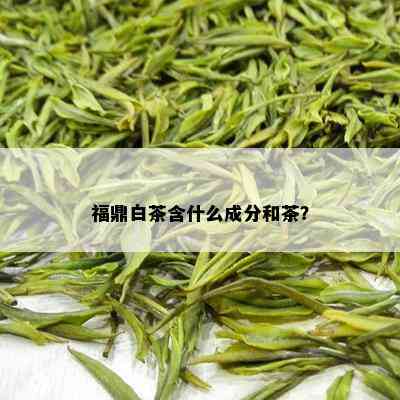 福鼎白茶含什么成分和茶？