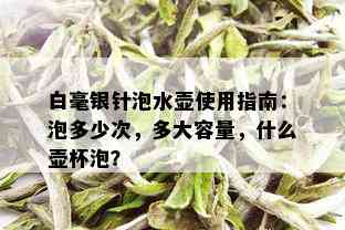 白毫银针泡水壶使用指南：泡多少次，多大容量，什么壶杯泡？