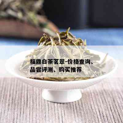 福鼎白茶茗翠-价格查询、品尝评测、购买推荐