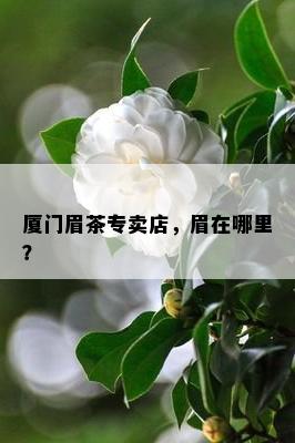 厦门眉茶专卖店，眉在哪里？