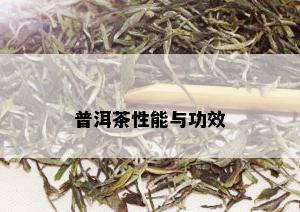 普洱茶性能与功效