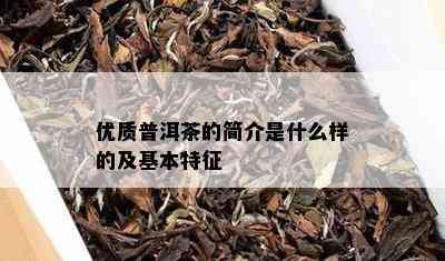 优质普洱茶的简介是什么样的及基本特征