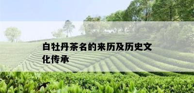 白牡丹茶名的来历及历史文化传承