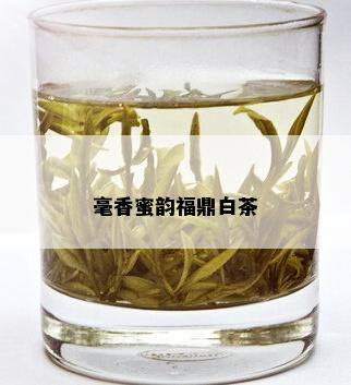 毫香蜜韵福鼎白茶