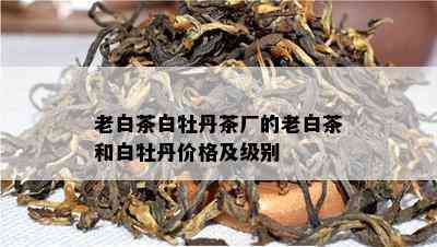 老白茶白牡丹茶厂的老白茶和白牡丹价格及级别