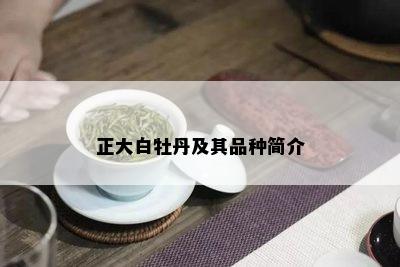 正大白牡丹及其品种简介