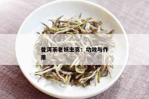 普洱茶老妖主页：功效与作用