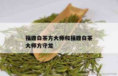 福鼎白茶方大师和福鼎白茶大师方守龙