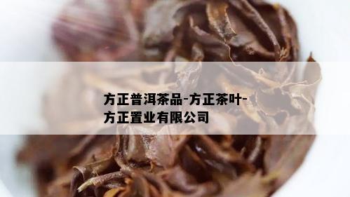 方正普洱茶品-方正茶叶-方正置业有限公司