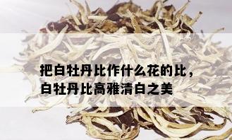 把白牡丹比作什么花的比，白牡丹比高雅清白之美