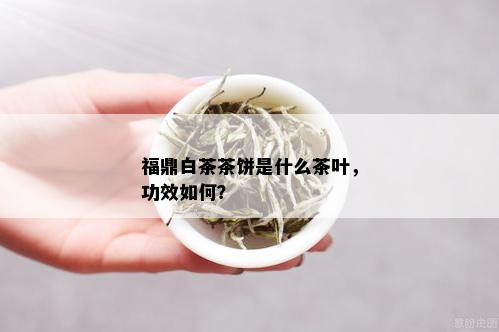 福鼎白茶茶饼是什么茶叶，功效如何？