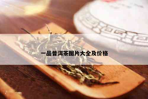 一品普洱茶图片大全及价格