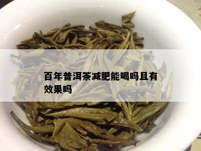 百年普洱茶减肥能喝吗且有效果吗