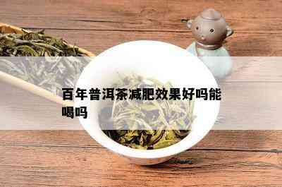 百年普洱茶减肥效果好吗能喝吗