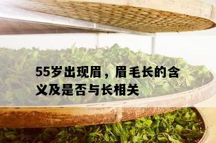 55岁出现眉，眉毛长的含义及是否与长相关