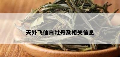 天外飞仙白牡丹及相关信息