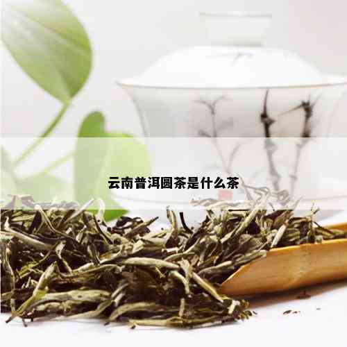 云南普洱圆茶是什么茶