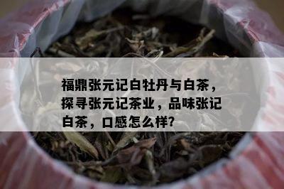 福鼎张元记白牡丹与白茶，探寻张元记茶业，品味张记白茶，口感怎么样？