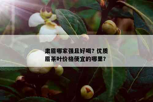 肃眉哪家强且好喝? 优质眉茶叶价格便宜的哪里？