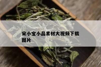 宋小宝小品素材大视频下载图片