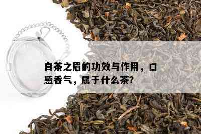 白茶之眉的功效与作用，口感香气，属于什么茶？