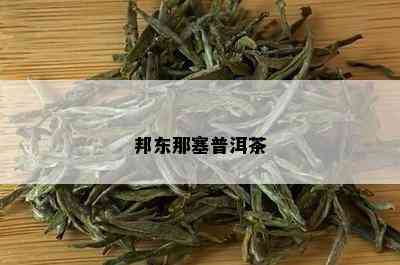 邦东那塞普洱茶