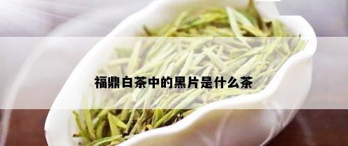 福鼎白茶中的黑片是什么茶