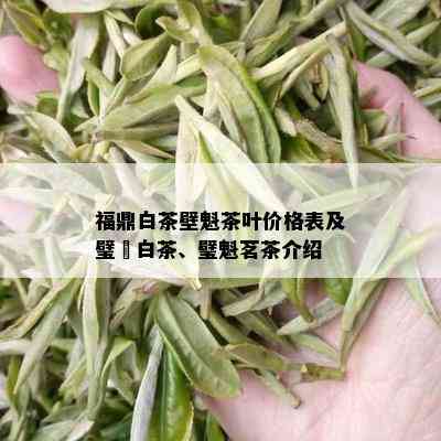 福鼎白茶壁魁茶叶价格表及璧瑄白茶、璧魁茗茶介绍