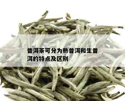 普洱茶可分为熟普洱和生普洱的特点及区别